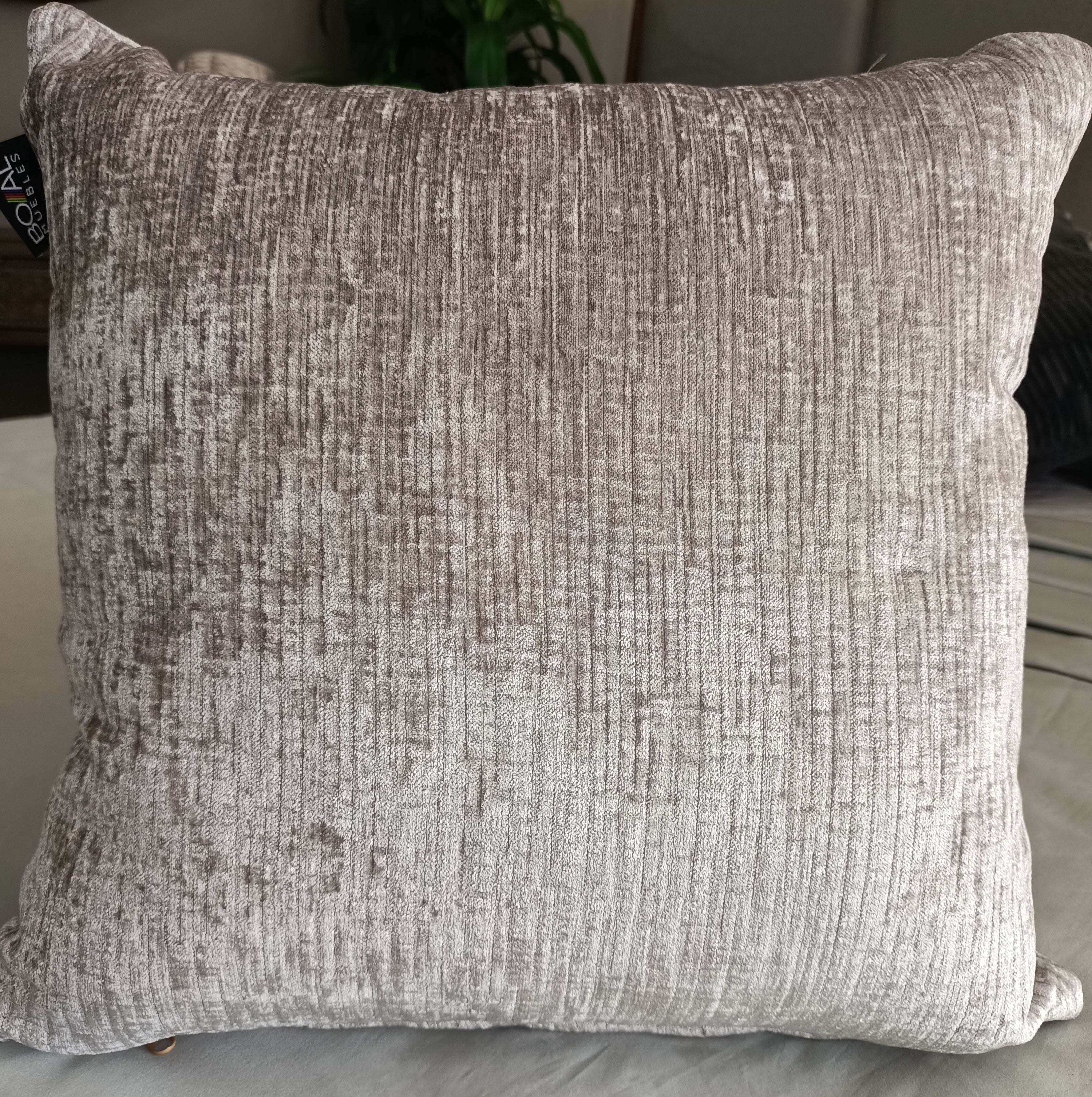 Cojín 50x50cm Bliss Dove