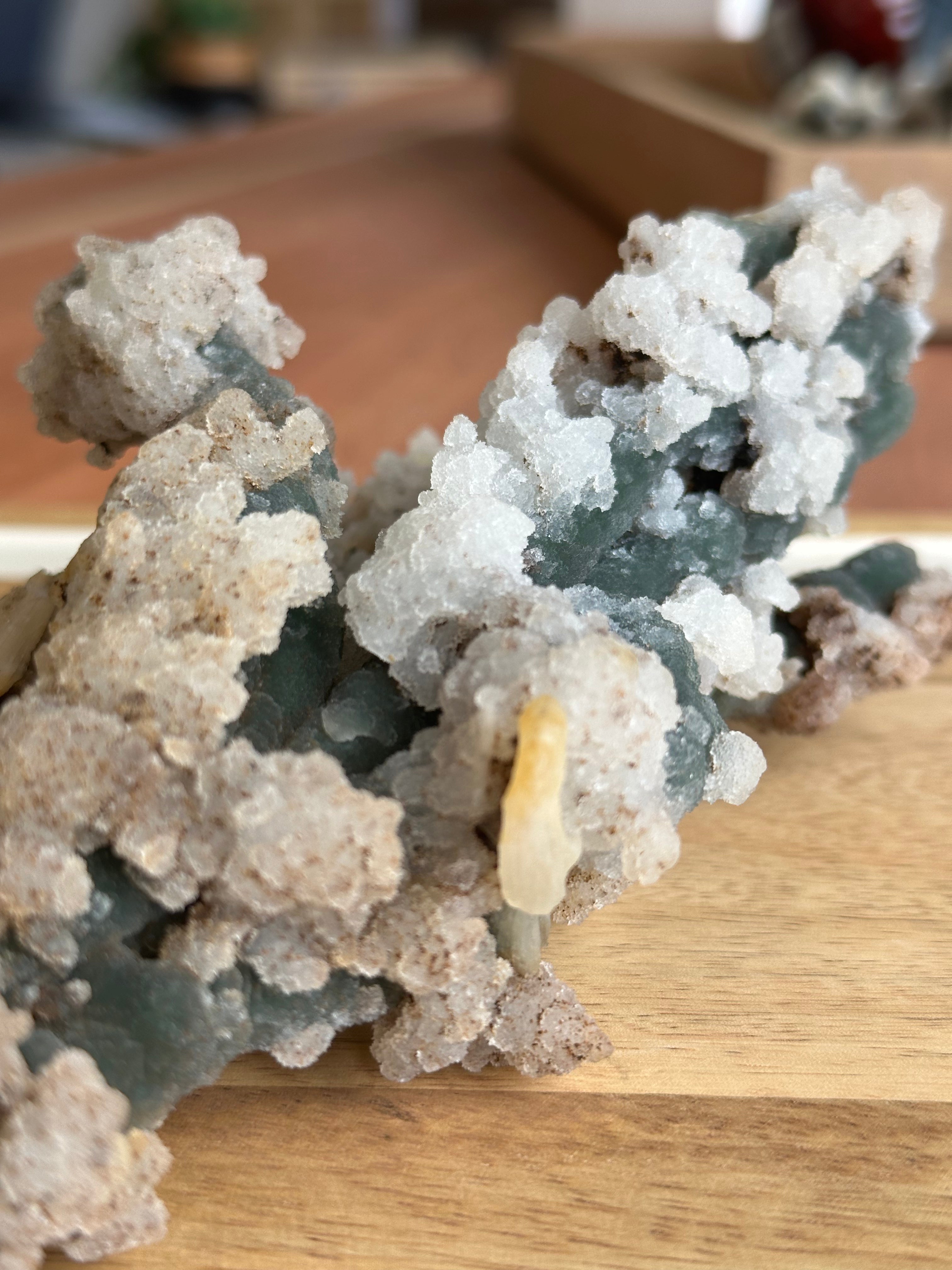 Coral Fósil con Calcedonia 414.5 g E. #1, Único de Colección