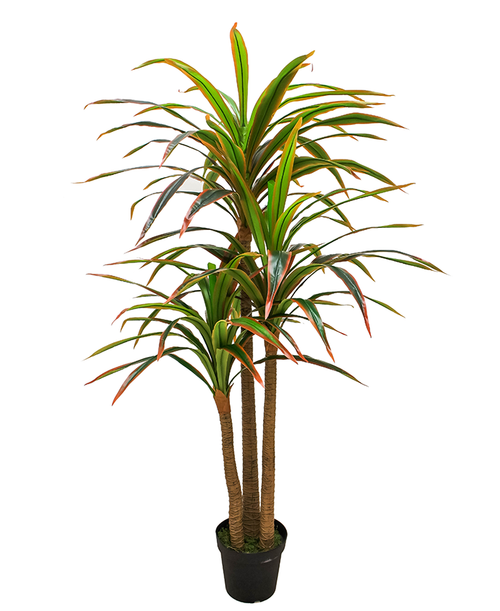 Planta Yuca Real Touch 2Mt