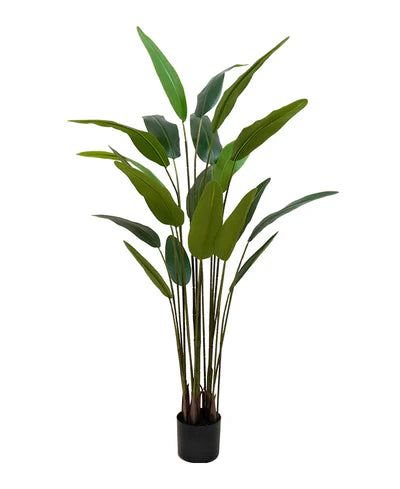 PLANTA ARTIFICIAL STRELITZIA 170CM 20H