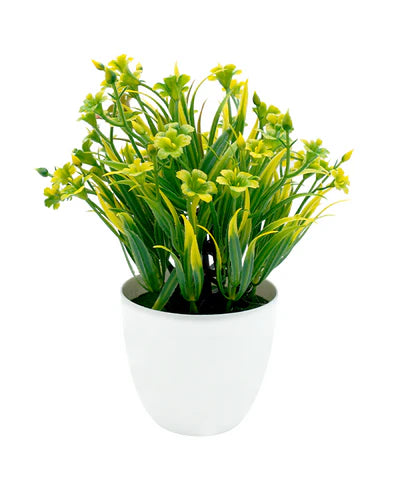 MINIPLANTA PASTO FLOR 23CM