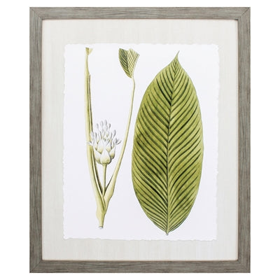 Leaves Of The Tropics II