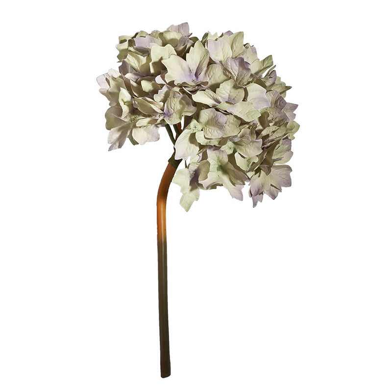 HYDRANGEA SMOKEY WHITE