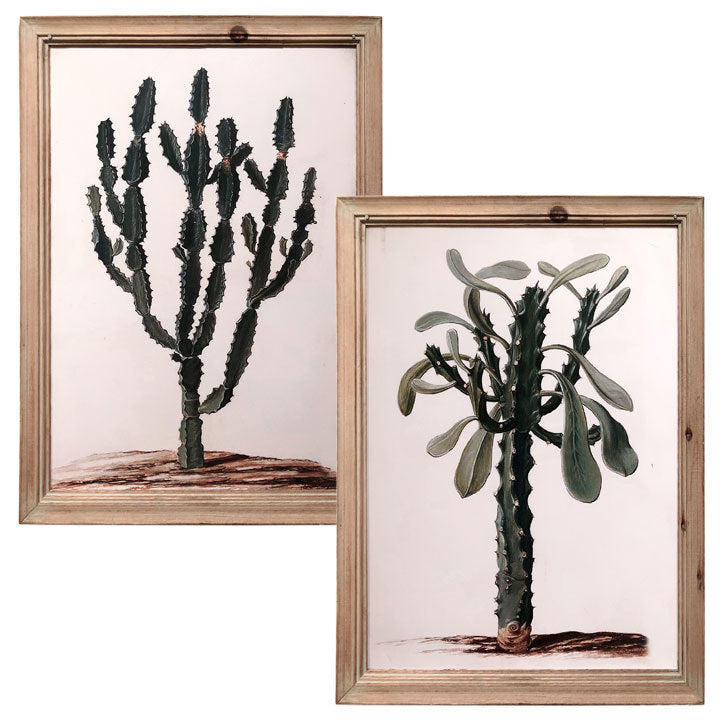 Euphorbia Wall Art A/B