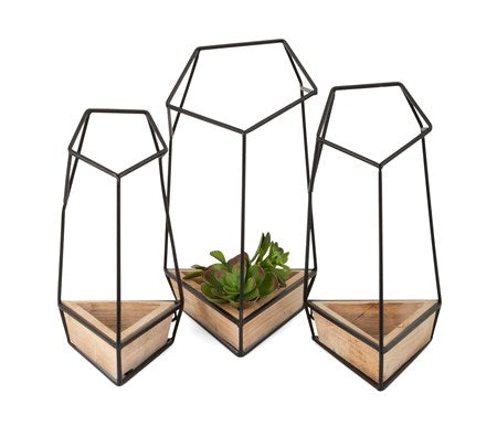 Felix Wall Planters - Grande