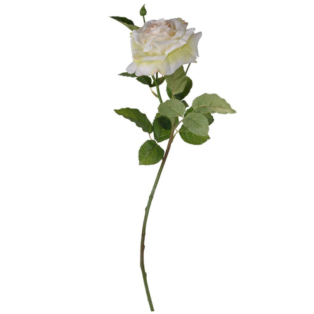 VARA ROSA CREMA
