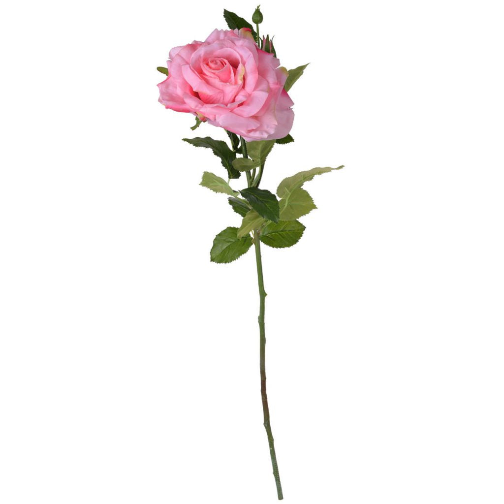 VARA ROSA PINK
