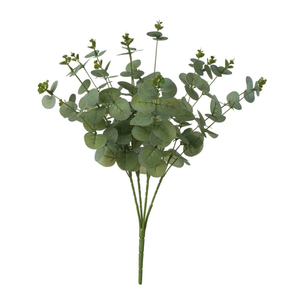 Eucalipto Verde