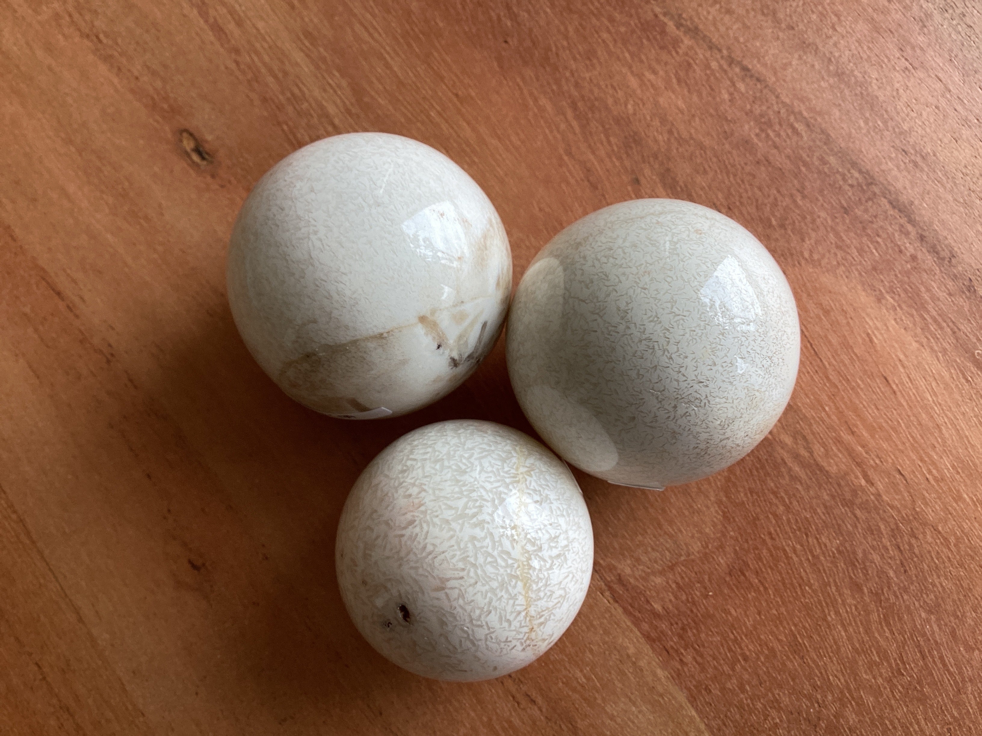 Esfera de Escolecita 1.5-3"