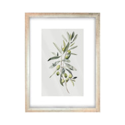 GICLEE GREENISH 1  45X60X01 M PLATA