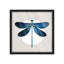 GICLEE COLOUR 4 45X45X02 M NEGRO