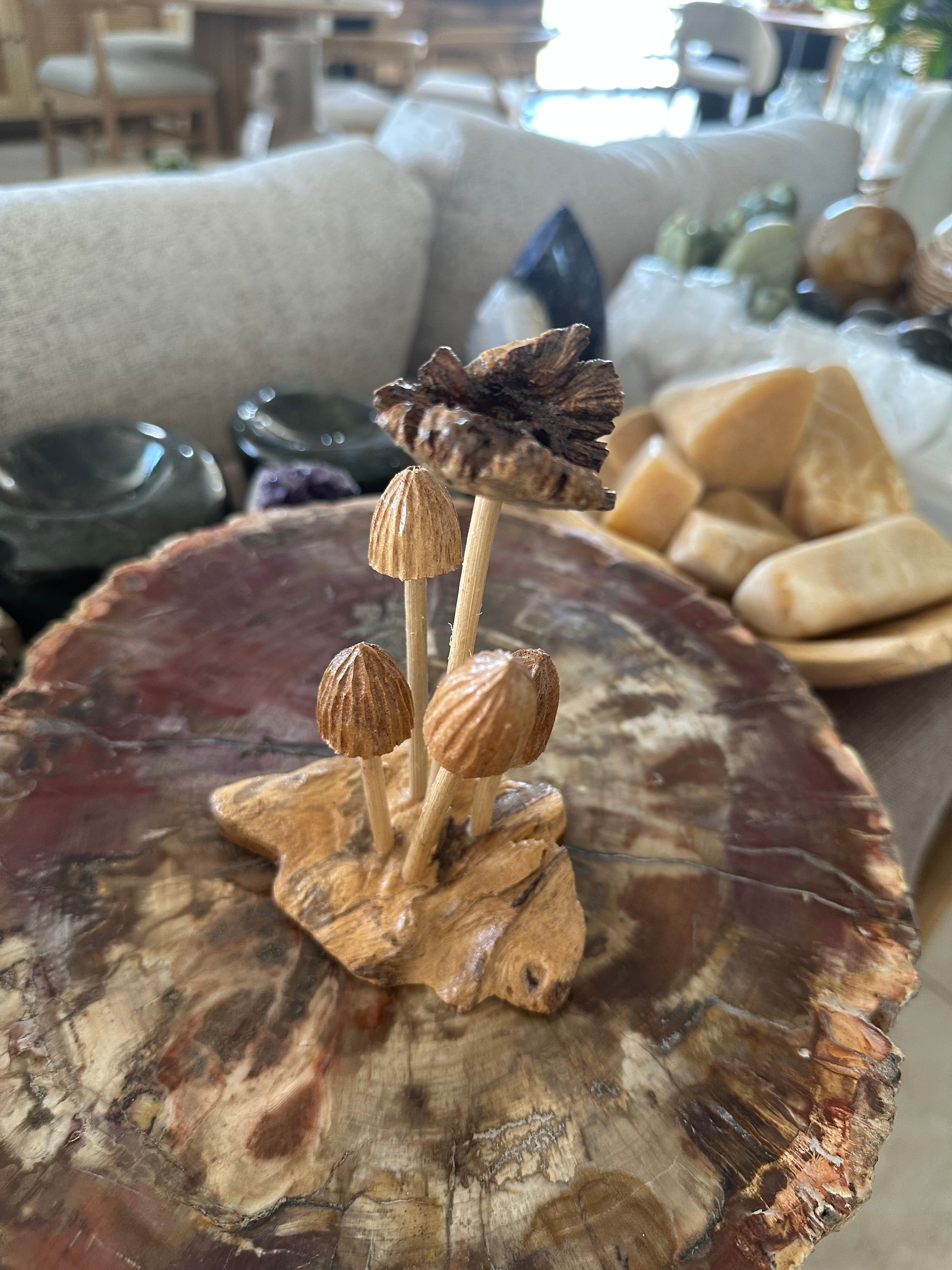 Hongos de madera, Indonesia
