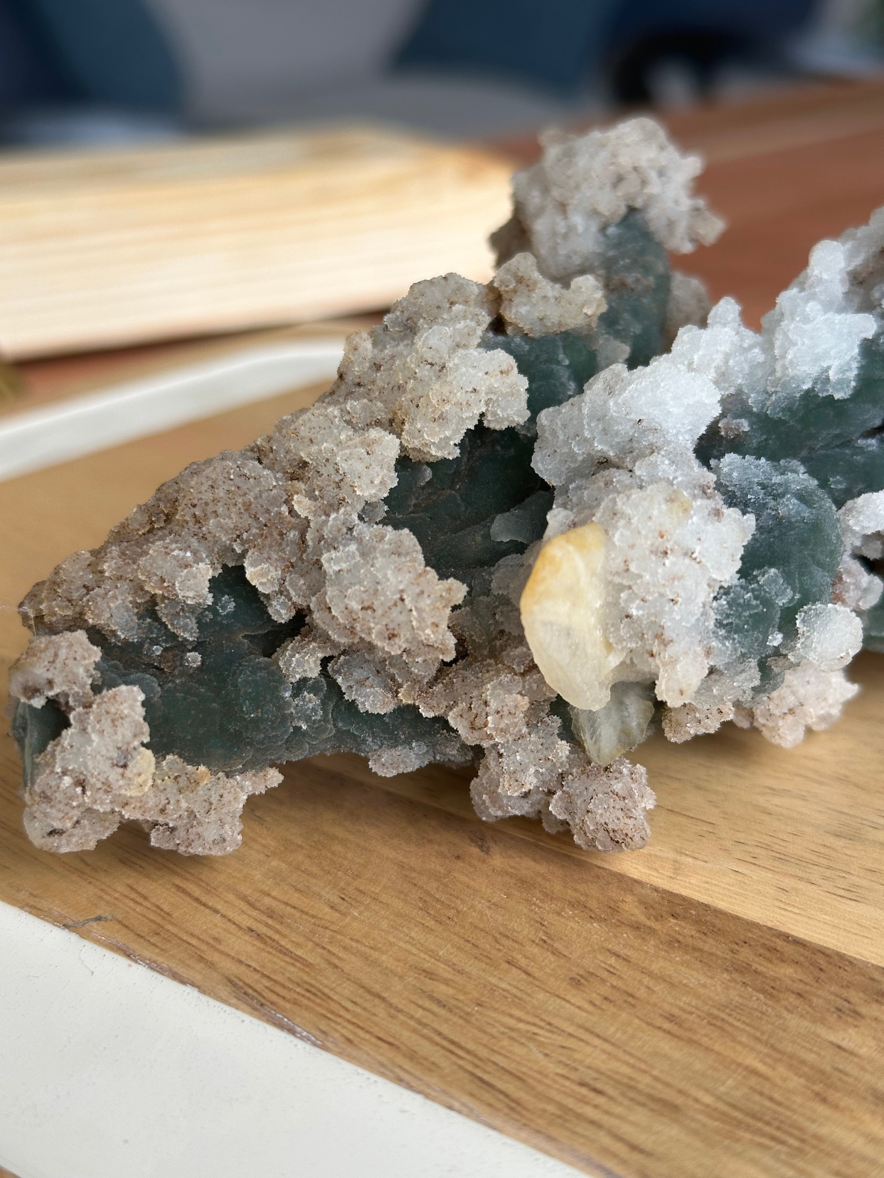 Coral Fósil con Calcedonia 414.5 g E. #1, Único de Colección
