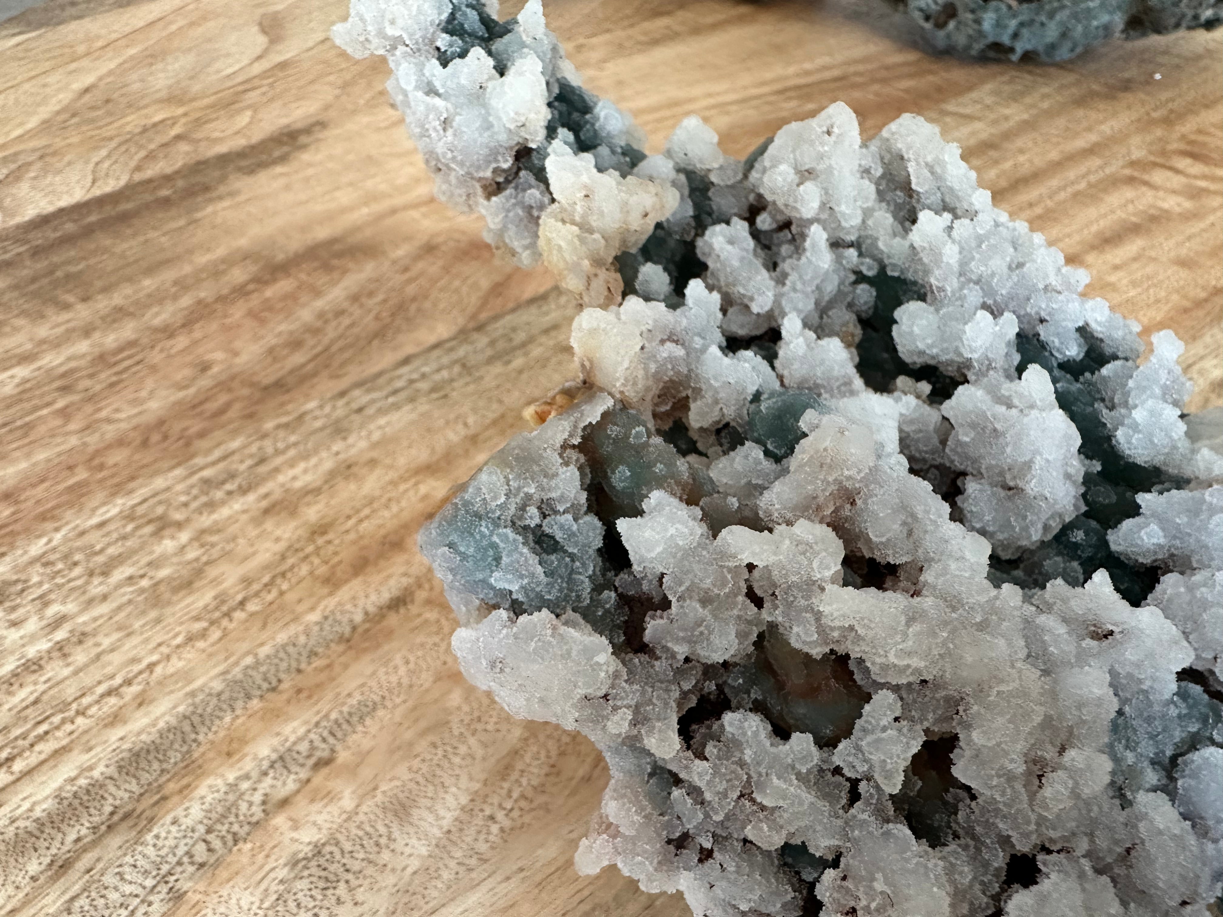 Coral Fósil con Calcedonia 881g  E. #2, Único de Colección