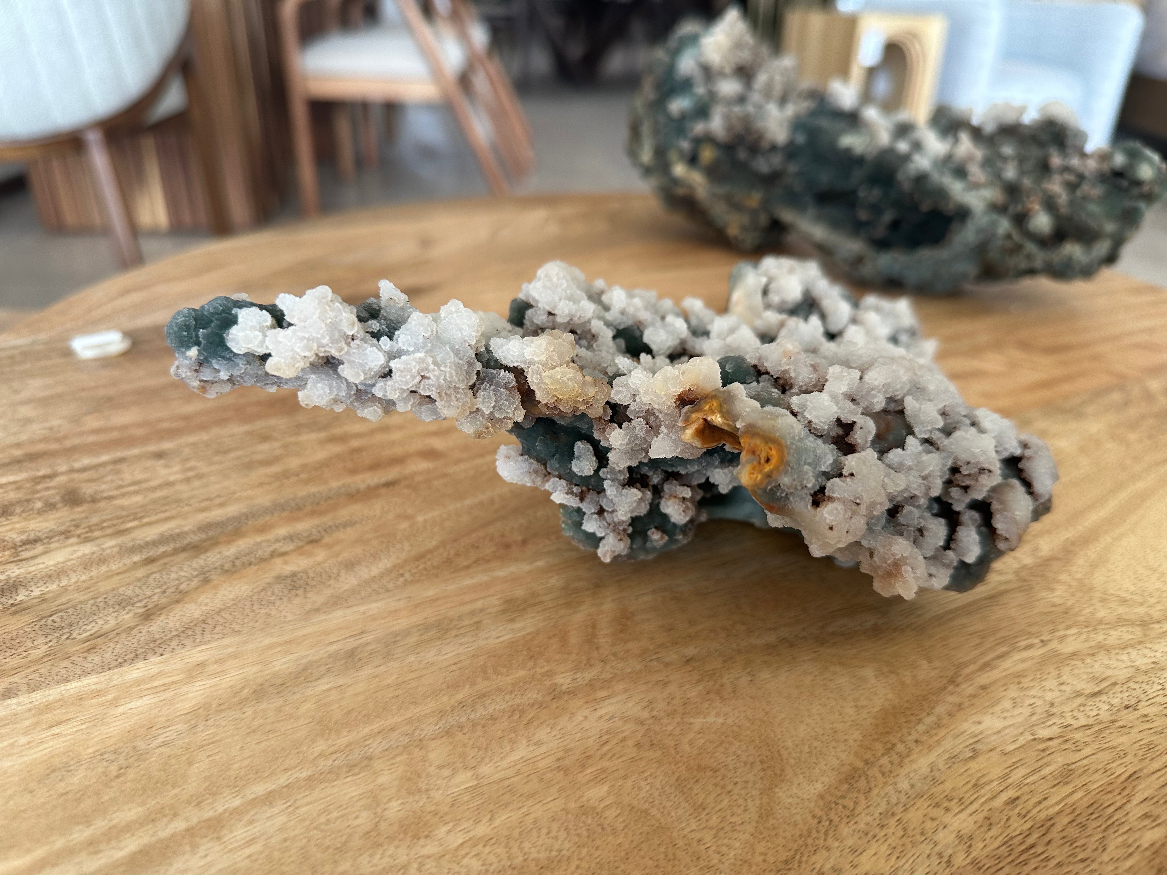 Coral Fósil con Calcedonia 881g  E. #2, Único de Colección