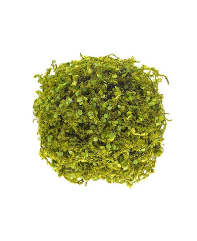 ESFERA MUSGO 20CM