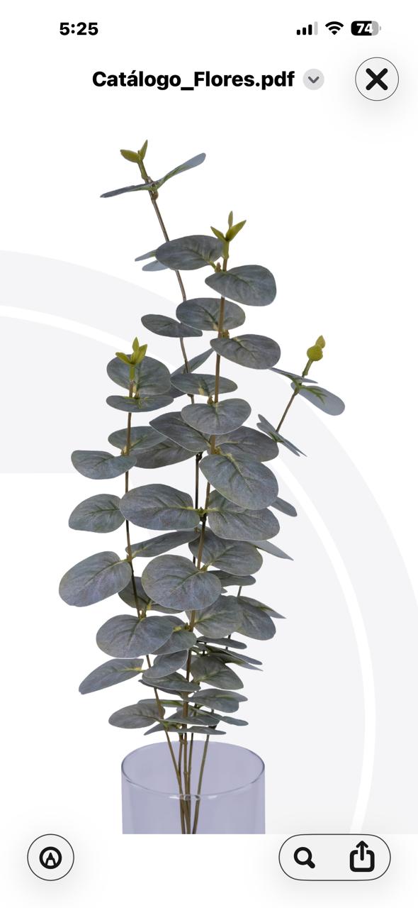 Ramo Eucalipto Dolar 86 Cm Verde