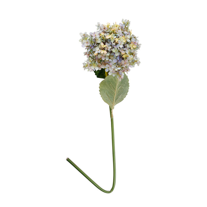 HYDRANGEA 34