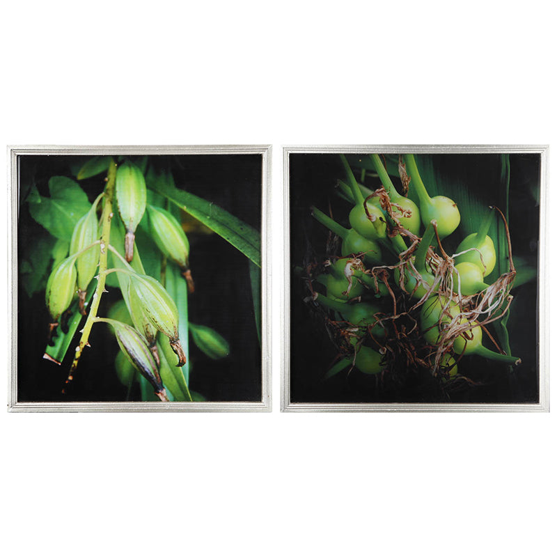 WALL ART 2PZ BOTANICAL VIDRIO 20X20"