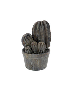 Cactus Maceta 12"