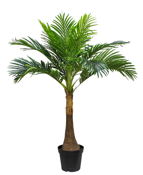 PLANTA PALMA ARECA 1.30 M