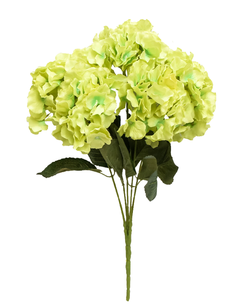 Ramo Hortencia x5 Verde